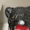 daichi
