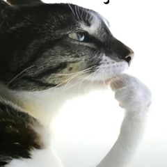 luxfr