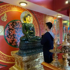 thinh phan
