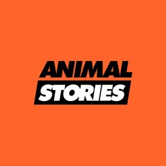 Animal Stories