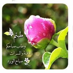 Captan Mahmoud Gamal
