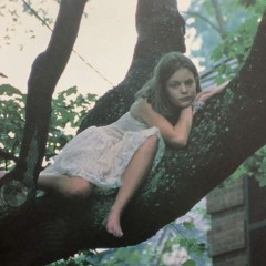 ⋆. 𐙚 ˚🦢d3struction𖤐⭒๋࣭ ⭑