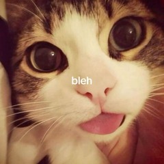 Helie 熊猫