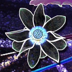 lotusofdeath