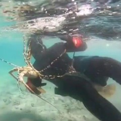 SaltyRasta🏴‍☠️🌊🔥