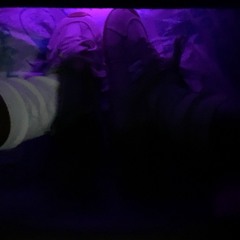 A 7 R W