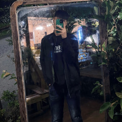 Dinh Viet Hung (duck)