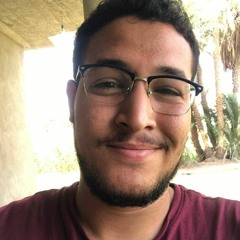 Abdelrhman Sayed