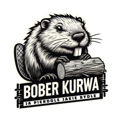 _BoberTraher_1488