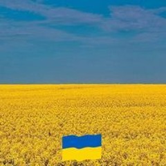 Vanessa Gamboa González