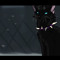 Dark ` Soul ?