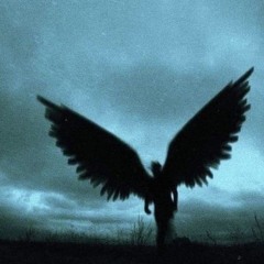 MANYsix66