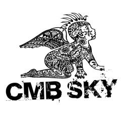 CMB SKY_forever