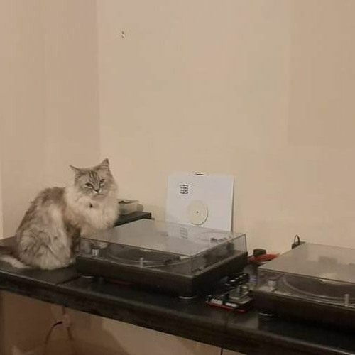 Rogue & Problem Child (Back2Back) - 1994-1996 Atmospheric Jungle And Drum & Bass Selection.mp3