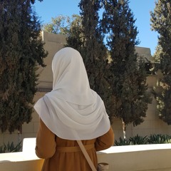 dina_amr_74