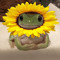 fwog
