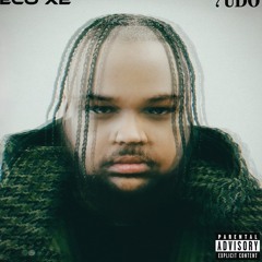 Eco_X2