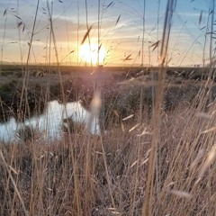 𝖭 𝖺 𝗋 𝖺 𝗇 𝗃 𝖺