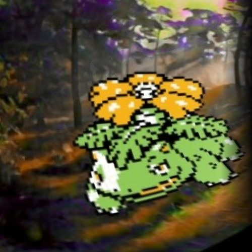 charlie leaf’s avatar