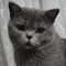 .sprike