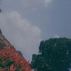 AimanAmir