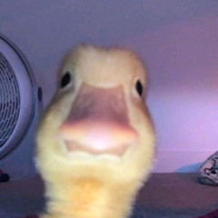 Мария Берестова