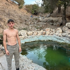 אברהם שטרית