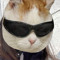 NIK.__.j