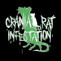Cranial Rat Infestation