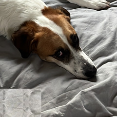 juliette-p-pin
