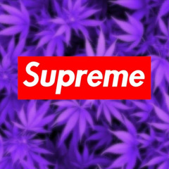 bucket 🪣
