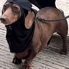 caca