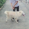 Hồ Tấn Thành