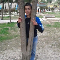 bassel