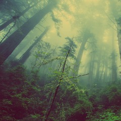 nerpel