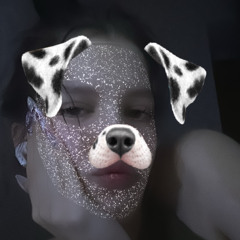 _llinn.a_