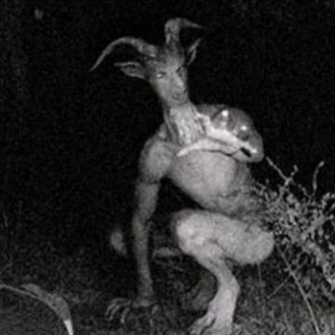 Stream grr angry so mad!!! by The Demonic Goatman of Turnbull | Listen ...