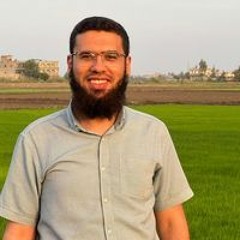 محمود صفوت