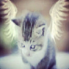 تبا لك الوغد