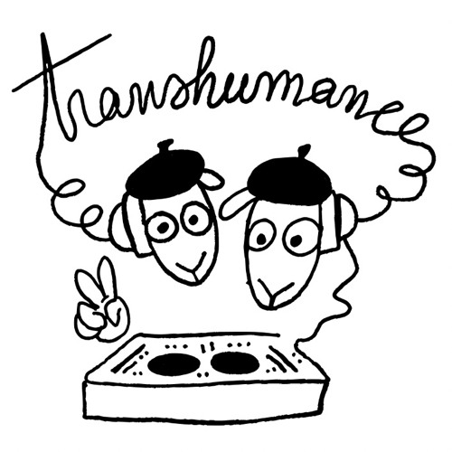 Transhumance’s avatar