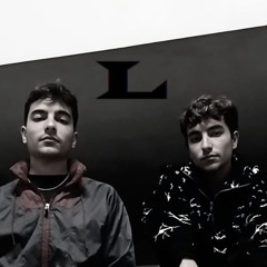 L-Vision