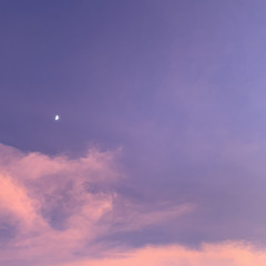 روضــة