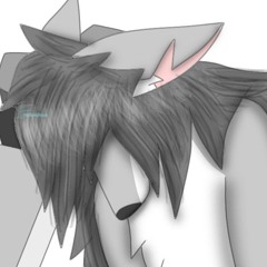 FluffyWaffle45