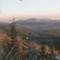 italycollective
