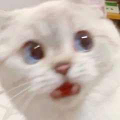 pre