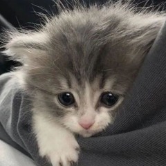 555