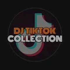 DJ TIKTOK COLLECTION