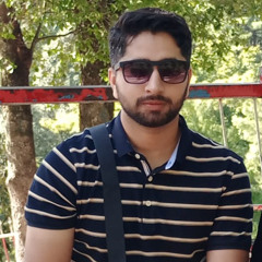 Faisal Naveed
