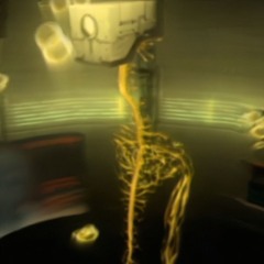ɦٱƈץ