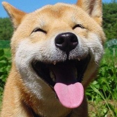 콘